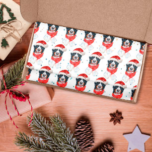 Papel De Seda Cão da Raça Bernese Mountain no Natal