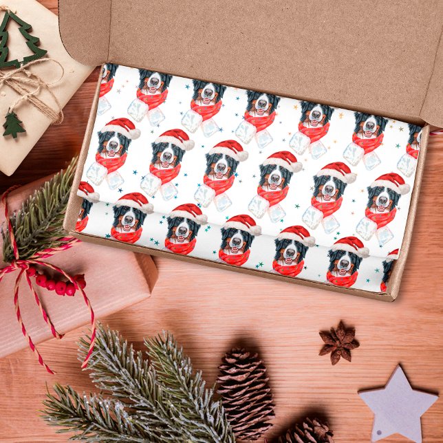 Papel De Seda Cão da Raça Bernese Mountain no Natal (Criador carregado)