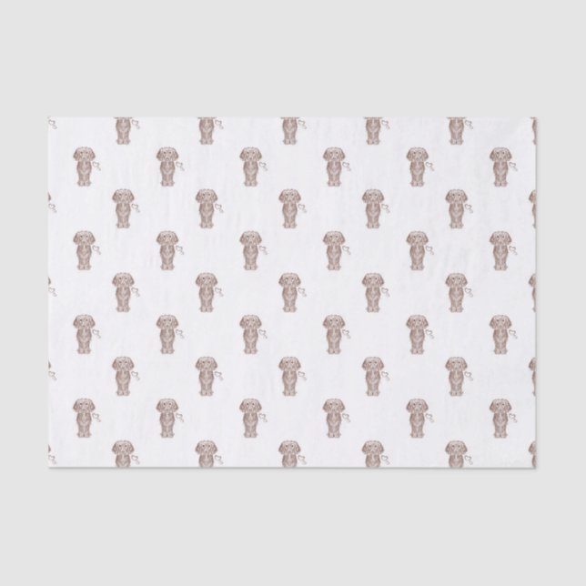 Papel De Seda Cão de Enchimento de Salsicha de Cabelo Longo (Frente )