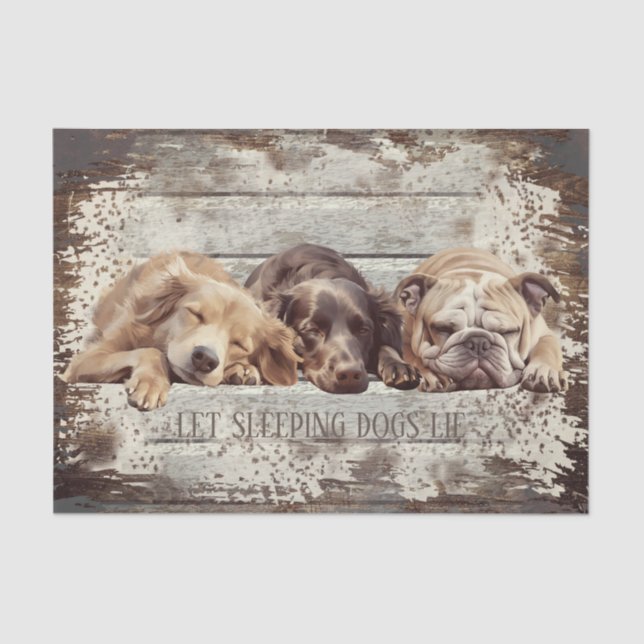 Papel De Seda Cão Dormindo Ilustrado (Frente )