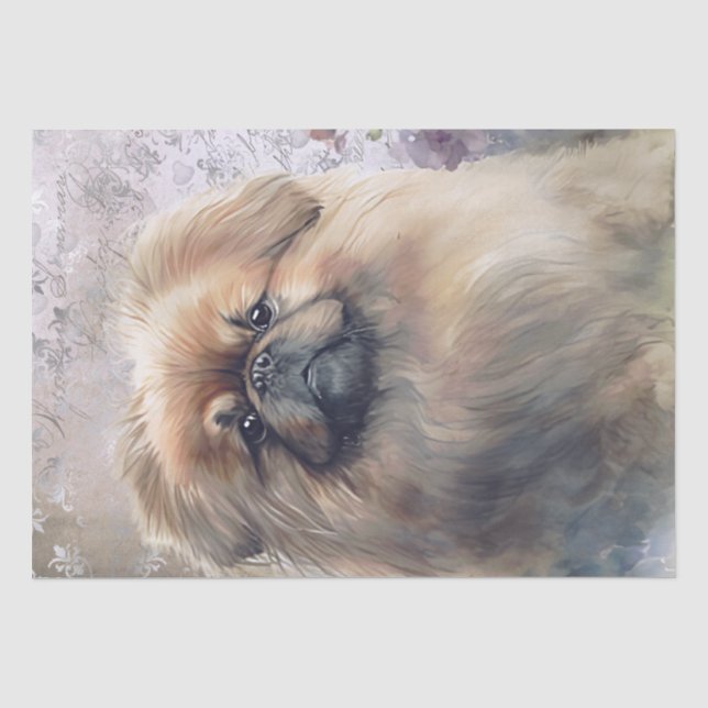 Papel De Seda Cão Floral Pekingese (Frente )