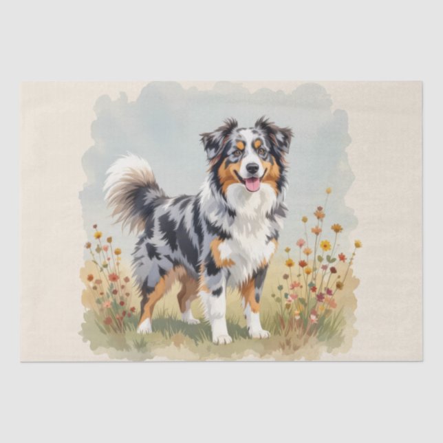 Papel De Seda Cão Pastor Australiano Merle Cauda Longa (Frente )