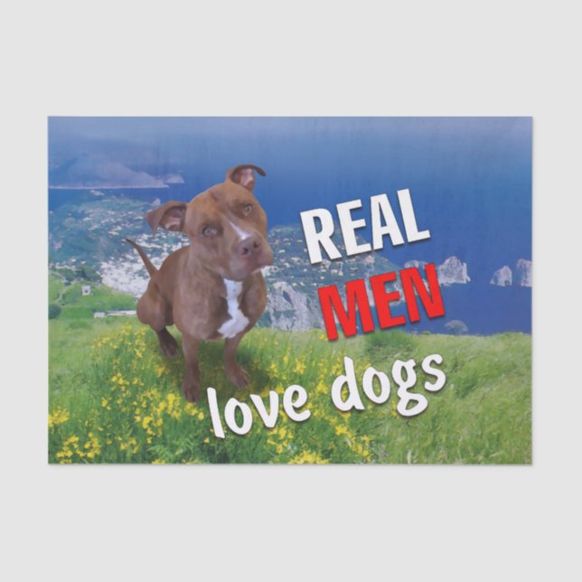 Papel De Seda Cão Pitbull (Frente )