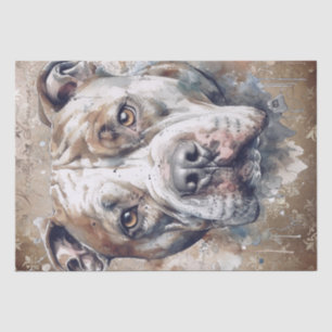 Papel De Seda Cão Pitbull Americano