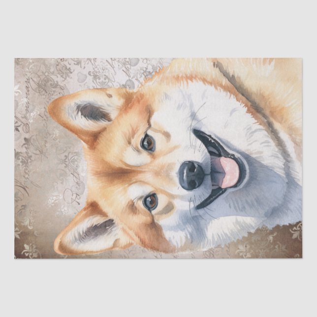 Papel De Seda Cão Shiba Inu (Frente )