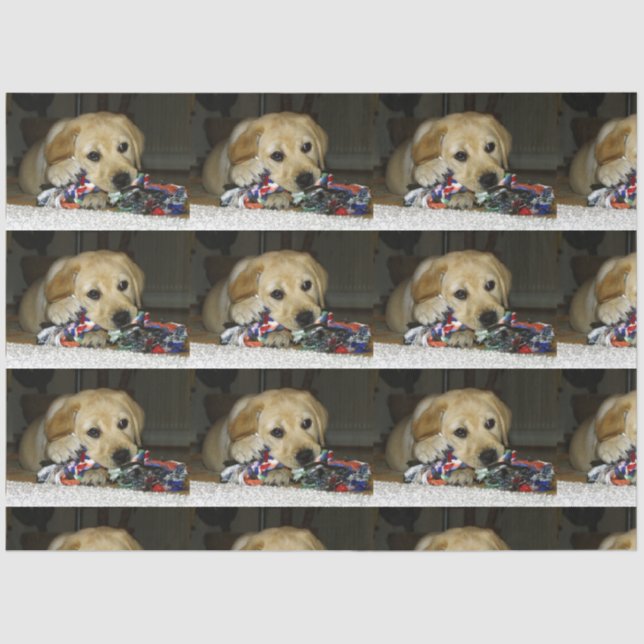 Papel De Seda Cãozinho amarelo LR com brinquedo (Frente )