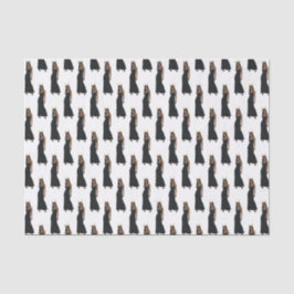 Papel De Seda Capricórnio Zodiac