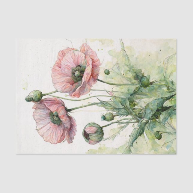 Papel De Seda Cápsulas Rosa, Aquarela Floral Delicada (Frente )
