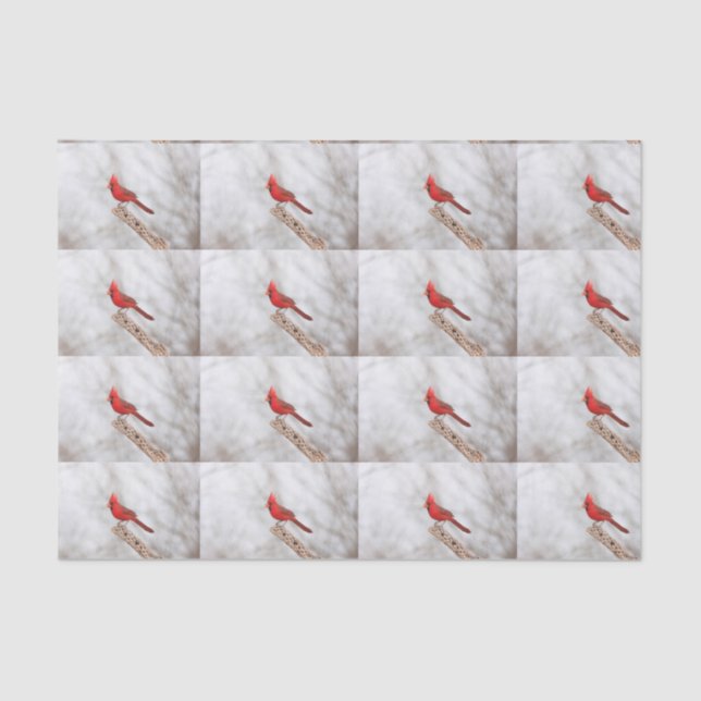 Papel De Seda Cardeal de norte em uma ramificação (Frente )