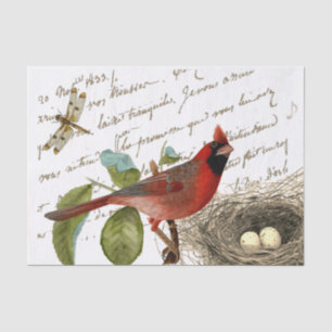 Papel De Seda Cardinal Bird Nest Dragonfly Música em francês S