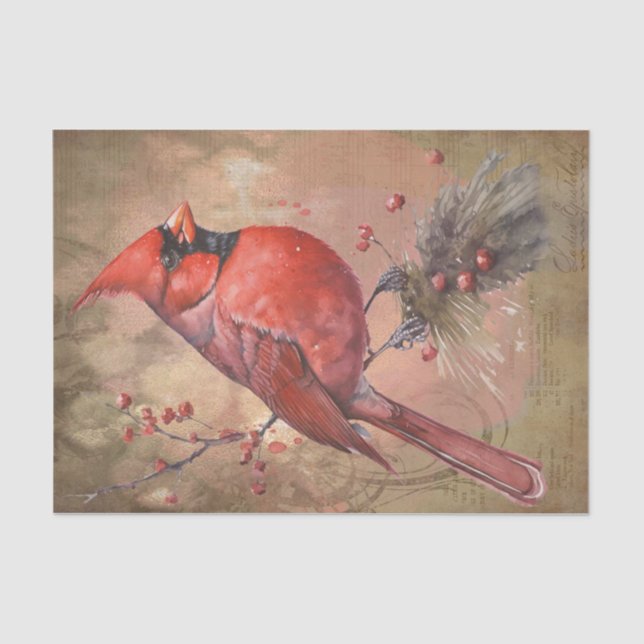Papel De Seda Cardinal de inverno (Frente )