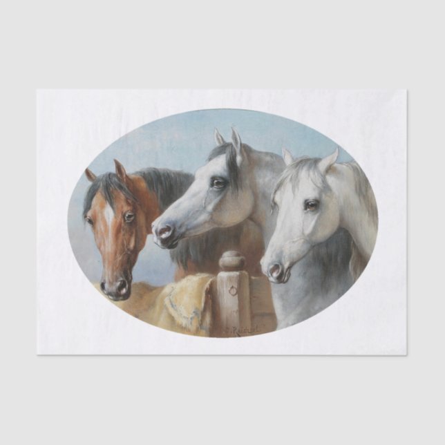 Papel De Seda Carl Richert | Cavalos (Frente )