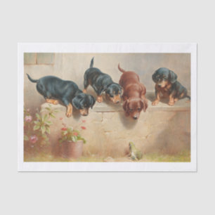 Papel De Seda Carl Richert Estacas E Sapos De Dachshund