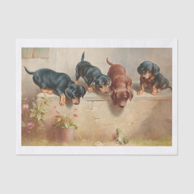 Papel De Seda Carl Richert | Estacas E Sapos De Dachshund (Frente )