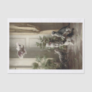 Papel De Seda Carl Richert   Gatos — Aves De Papagaio