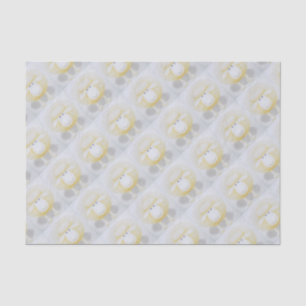 Papel De Seda Carneiros Woolly brancos para a ovelha