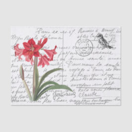 Papel De Seda Cartão-postal da Vintage Amaryllis Bird
