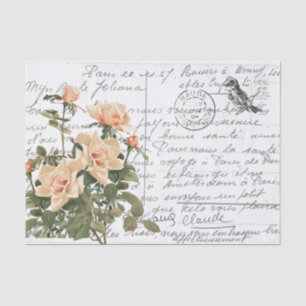 Papel De Seda Cartão-postal de avirinha rosa rosa rosa com imag