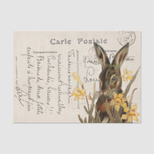 Papel De Seda Cartão postal francês vintage do coelho da Páscoa 