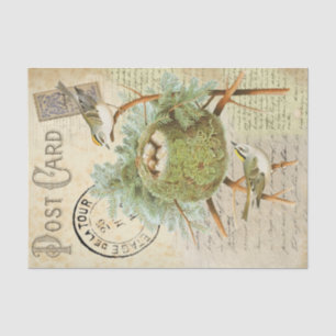 Papel De Seda Cartão-postal para aves de aninhamento