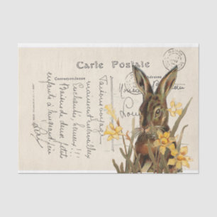Papel De Seda Cartão postal Vintage French Páscoa Rabbit Daffodi