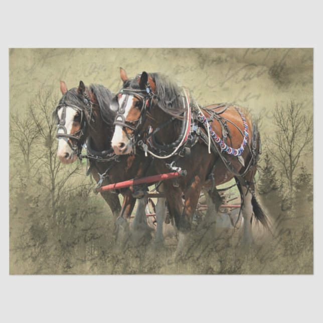 Papel De Seda Cartão-postal Vintage Weathered Clydesdale (Frente )