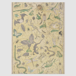 Papel De Seda Cartaz da Natureza com Insetos e Besouros Japonese