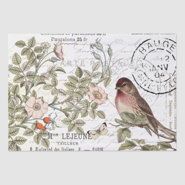 Papel De Seda Carte de Rosas Selvagens Postale Songbird Script F (Frente )