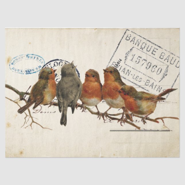 Papel De Seda Carte Postale Bird Set 3 de 4 Robins europeus Sacu (Frente )
