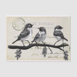Papel De Seda Carte Postale Birds em uma filial (Cartão-postal f