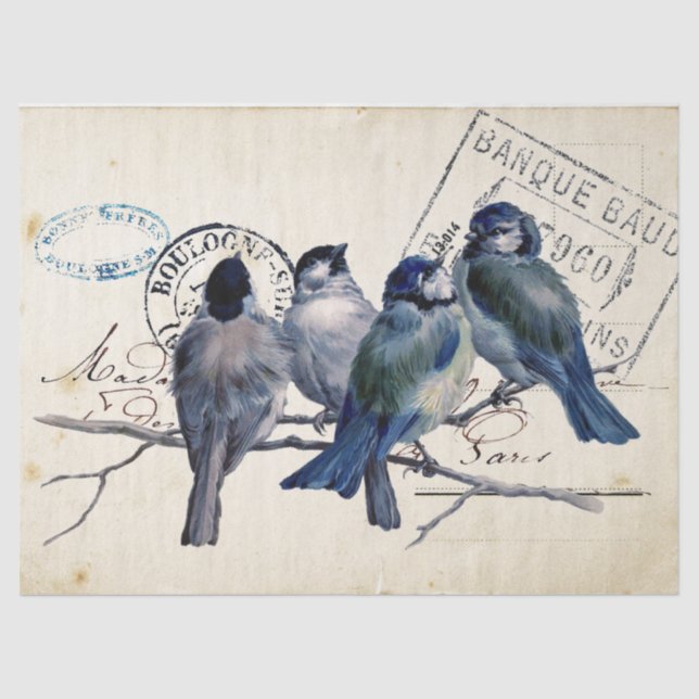 Papel De Seda Carte Postale Blue Bird Chickadee French Postmark (Frente )