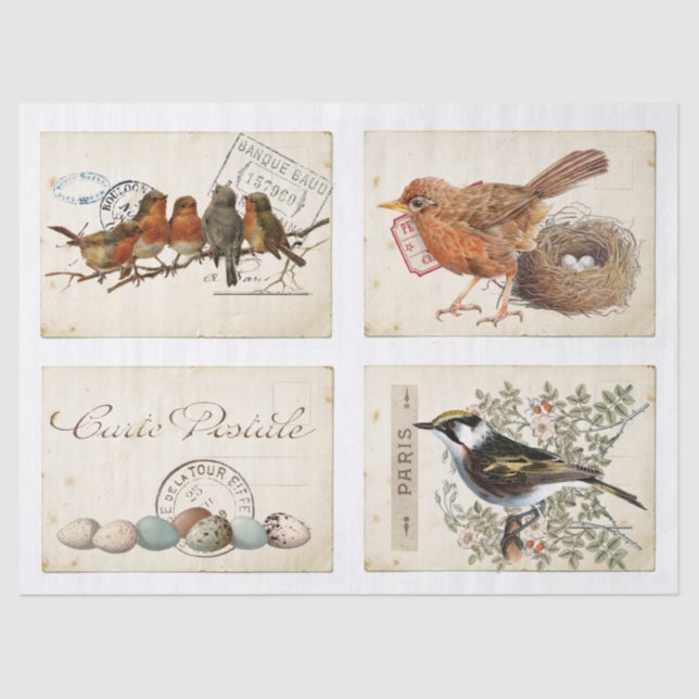 Papel De Seda Carte Postale French Bird Nest and Eget Set (Frente )