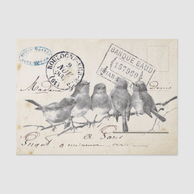 Papel De Seda Carte Postale French Songbird em uma filial (Frente )