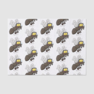 Papel De Seda Cartoon de insetos com mosca espinhenta