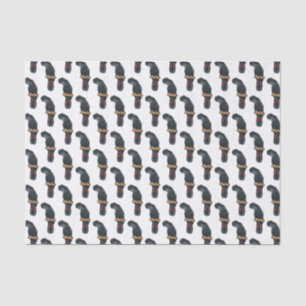 Papel De Seda Cartoon de pássaro preto de cauda vermelha