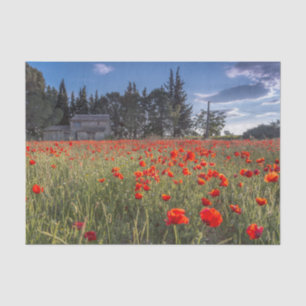 Papel De Seda Casa de Fazenda de Pedra com um Campo de Tulipas V