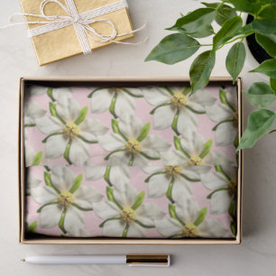 Papel De Seda Casamento Branco Cor-de-rosa com flor esbelta