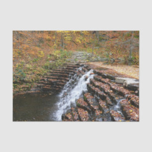 Papel De Seda Cascata em Laurel Hill State Park II