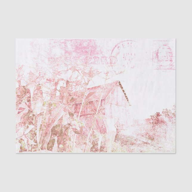 Papel De Seda Castanho Branco-Castanho-Russo do País (Frente )