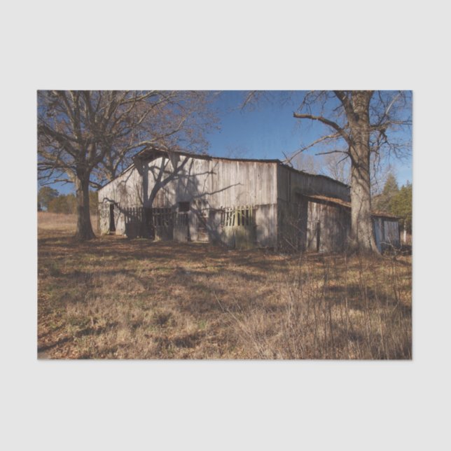 Papel De Seda Castanho-Claro Dilapidado Em Meio A Graus Castanho (Frente )