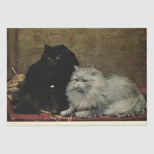 Papel De Seda Cat Ephemera Decoupage Black White Persians (Frente )