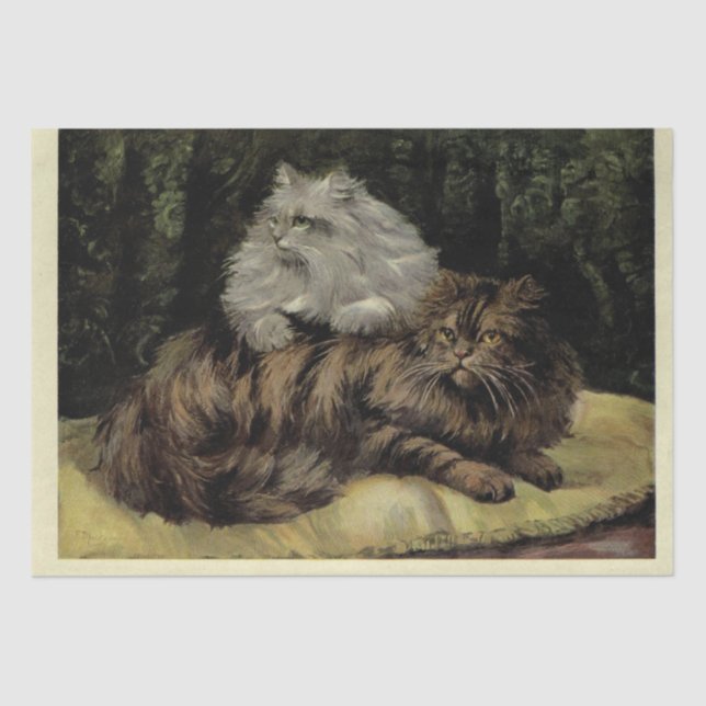 Papel De Seda Cat Ephemera Decoupage Brown Tabby Silver Persa (Frente )