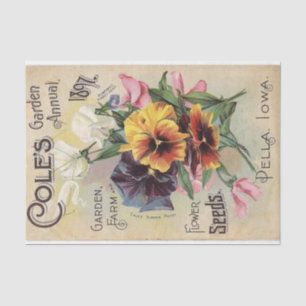 Papel De Seda Catálogo anual de flores de 1897 do Jardim do Cole