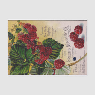 Papel De Seda Catálogo De Auriculturas De Framboesas