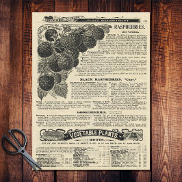 Papel De Seda Catálogo de Framboesas Vintage artesanato de Anúnc