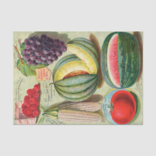 Papel De Seda Catálogo de Semente Vintage - Frutas de Iowa e veg