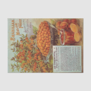 Papel De Seda Catálogo de Sementes Antigas Fruta Melão Brasileir