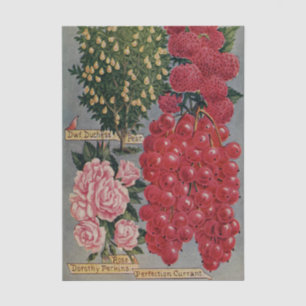 Papel De Seda Catálogo de Sementes Antigas Frutas e Flores