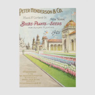 Papel De Seda Catálogo de Sementes Antigas Peter Henderson 1901