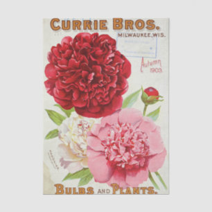 Papel De Seda Catálogo de Sementes Antigo Currie Bros, Outono 19